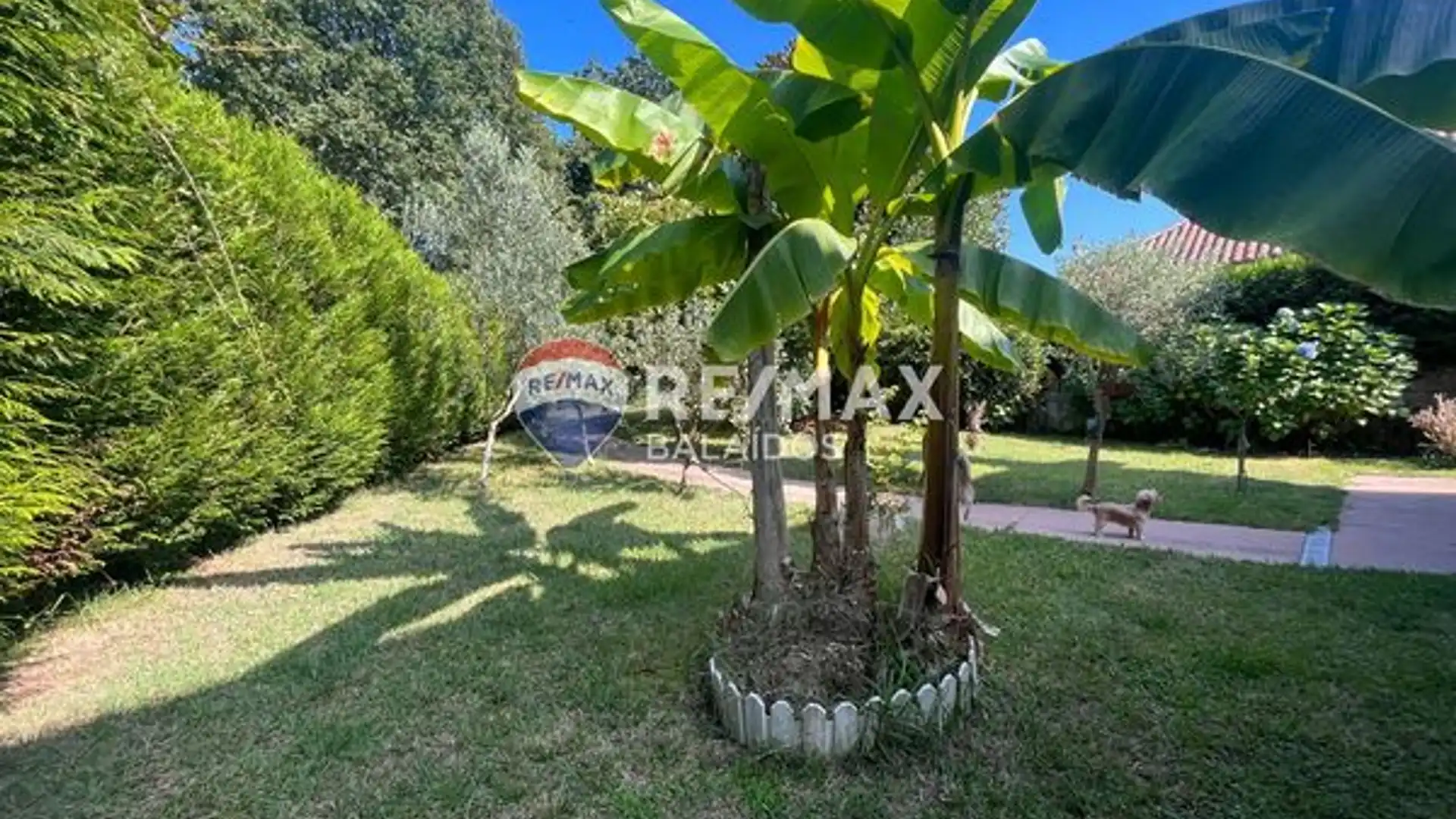 Casa o chalet en venta en Gondomar con Calefacción, Jardín privado y Terraza