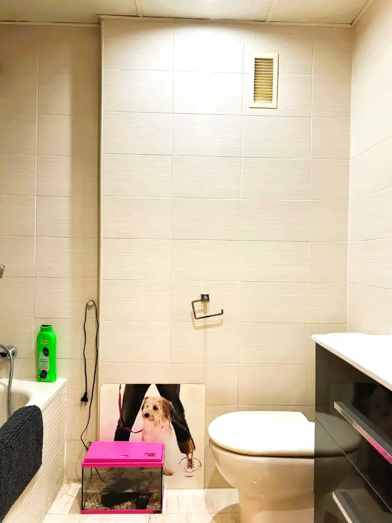 Baño de Casa adosada en venta en Bonrepòs i Mirambell con Amueblado
