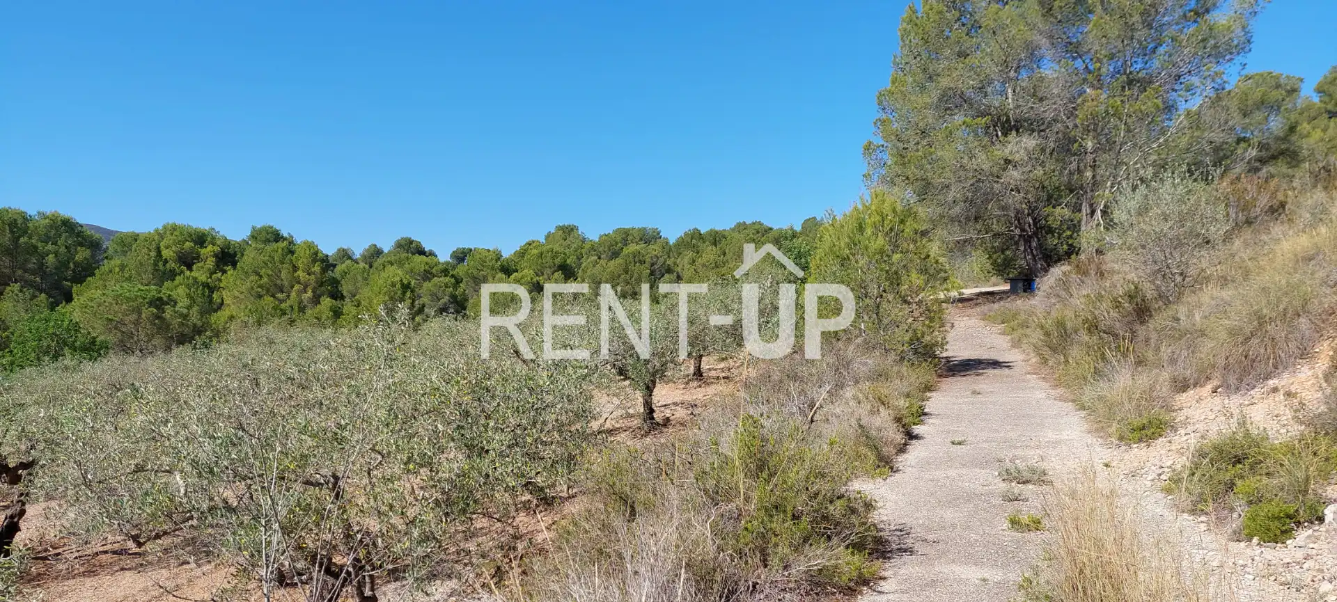 Terreny rústic en venda a Xàtiva, imagen 4