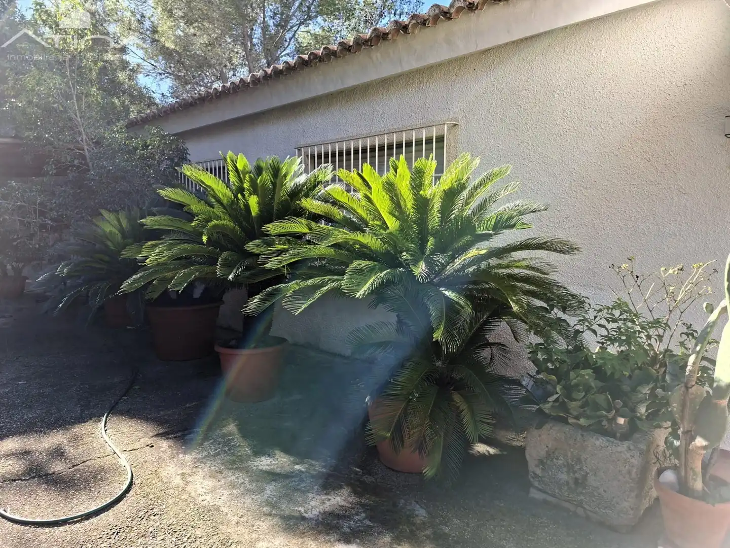 Garden of Houses for sale in Gandia  with Private garden, Terrace and Storage room