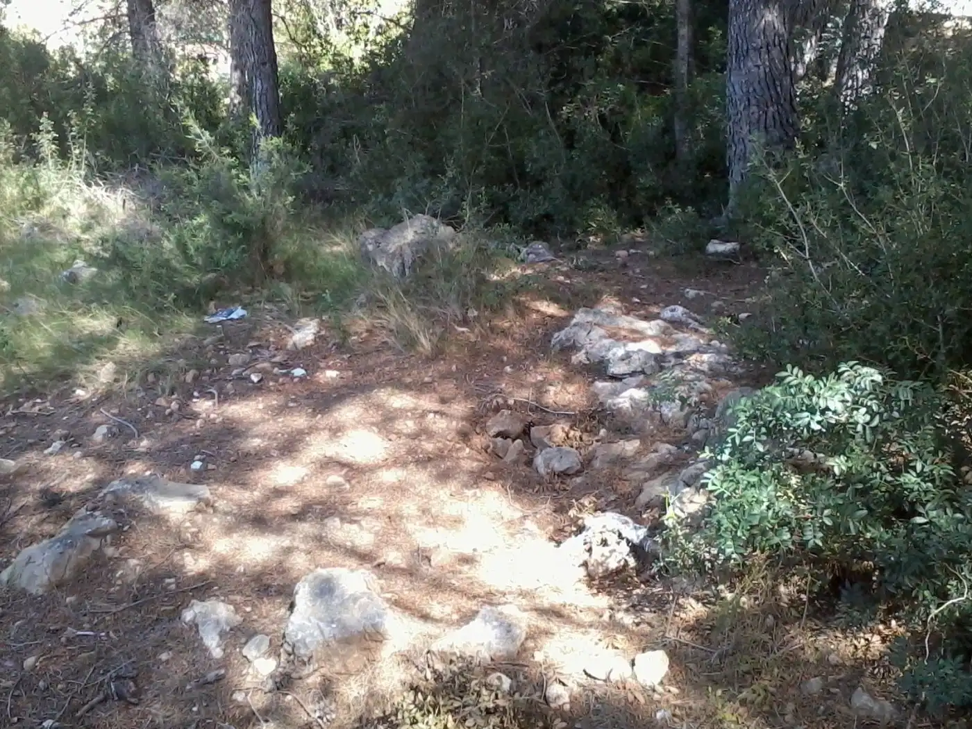 Terreny residencial en venda a La Bisbal del Penedès, imagen 5