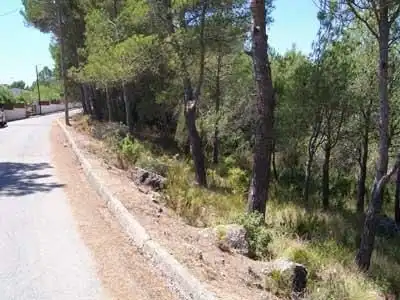 Terreno residencial en venta en Camí de Pinedes Altes 14, imagen 2