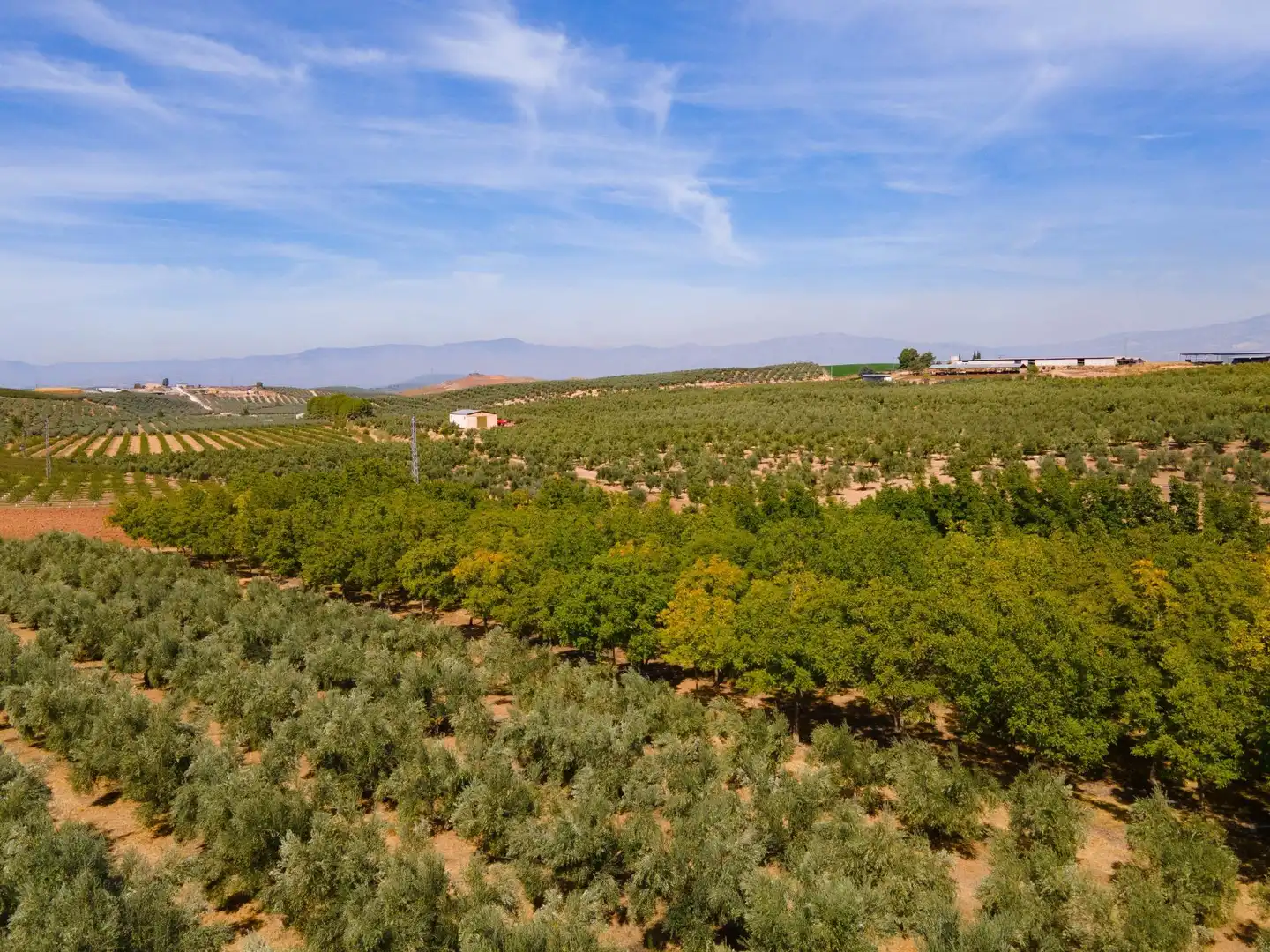 Chalet con piscina en venta en Moraleda de Zafayona, imagen 92