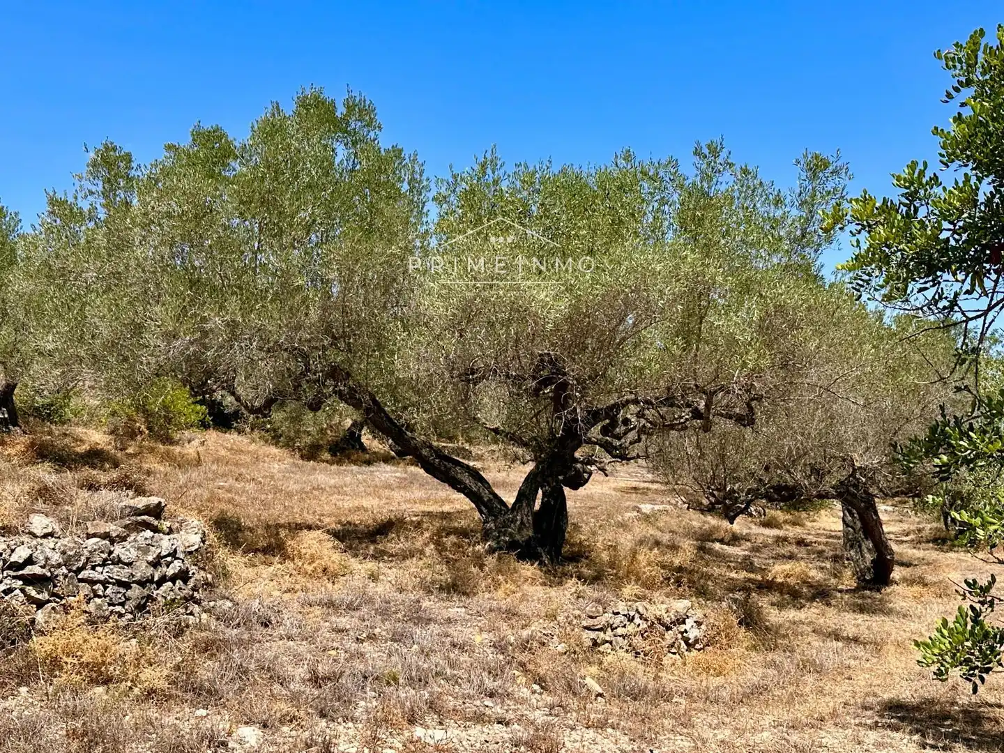 Finca rústica en venta en L'Ametlla de Mar 