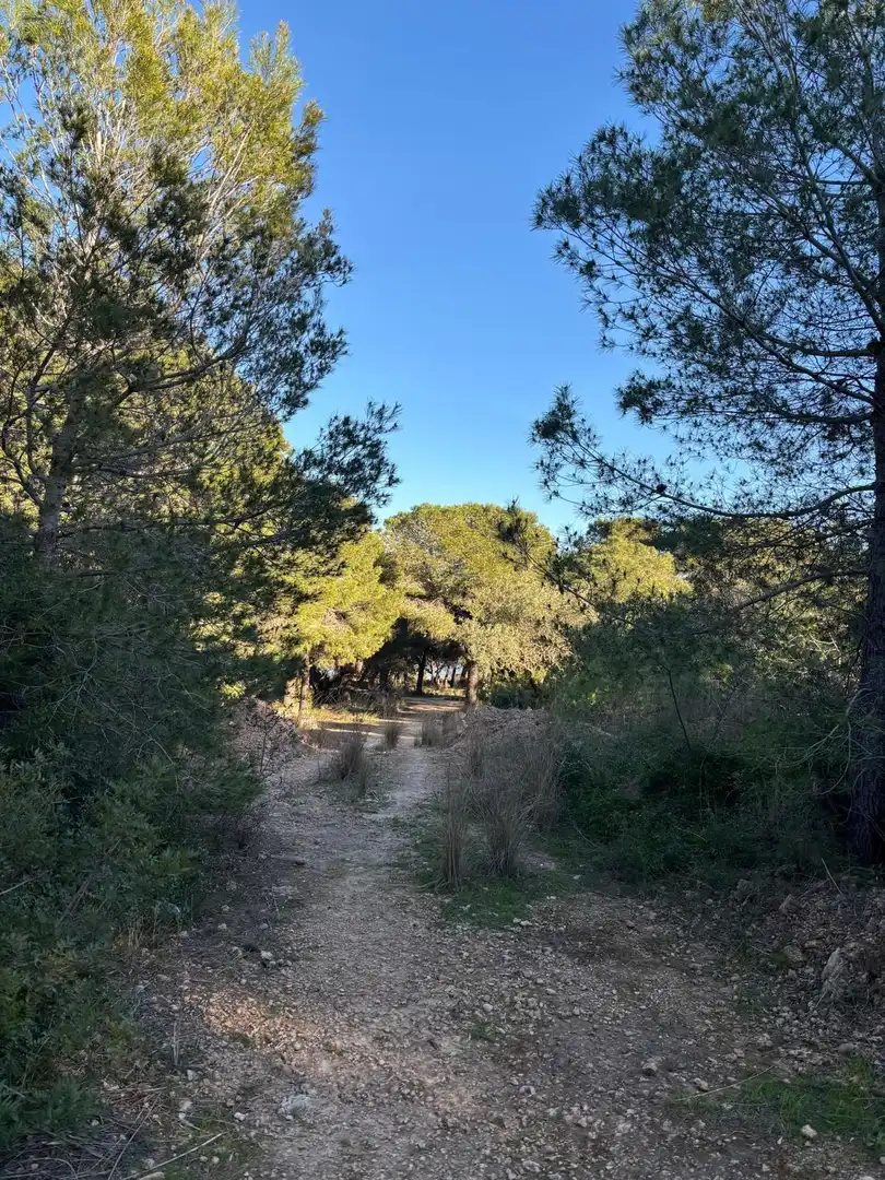 Casa o xalet en venda en Alcanar amb Jardí privat, Traster i Piscina