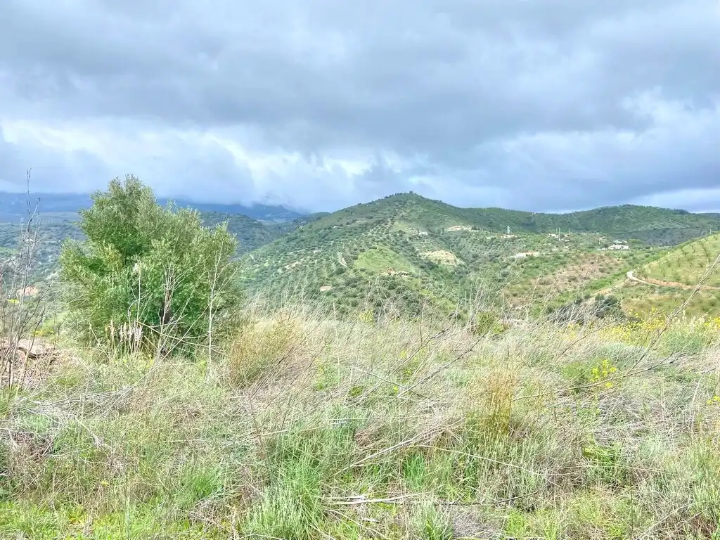 Casa rústica con jardín en venta en Colmenar, imagen 29