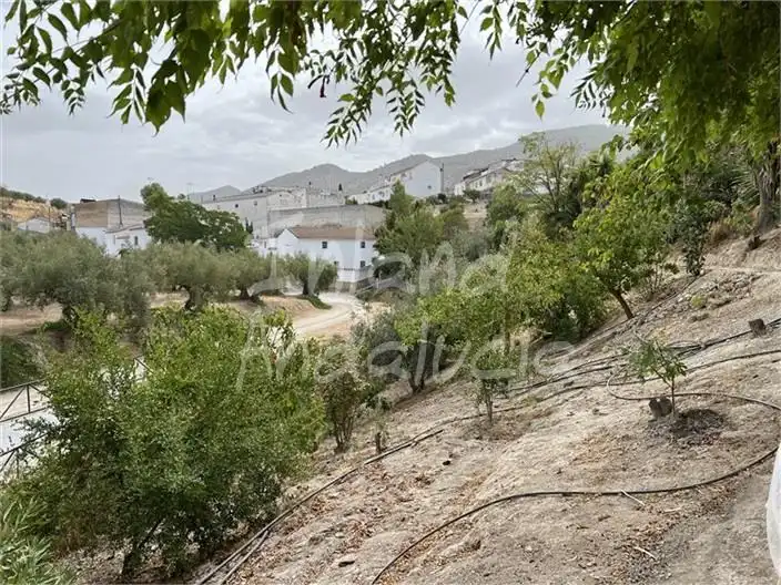 Casa rústica amb piscina en venda a Alcaudete, imagen 5