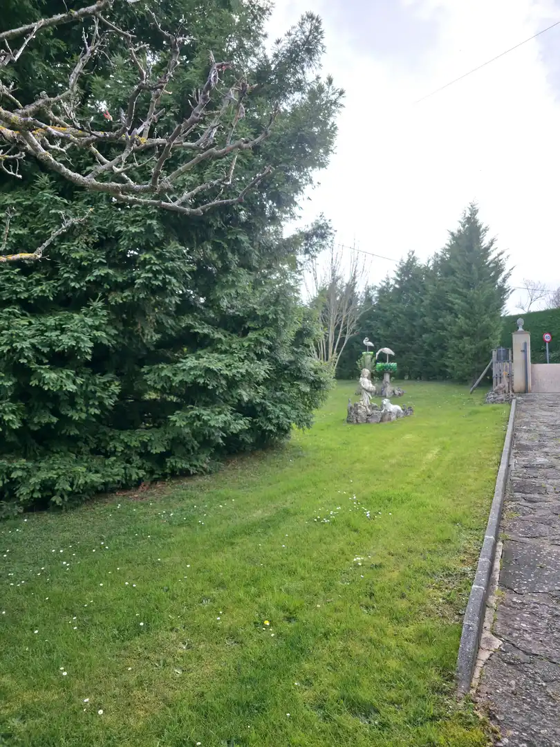 Jardí de Casa o xalet en venda en Pomar de Valdivia amb Calefacció, Jardí privat i Terrassa