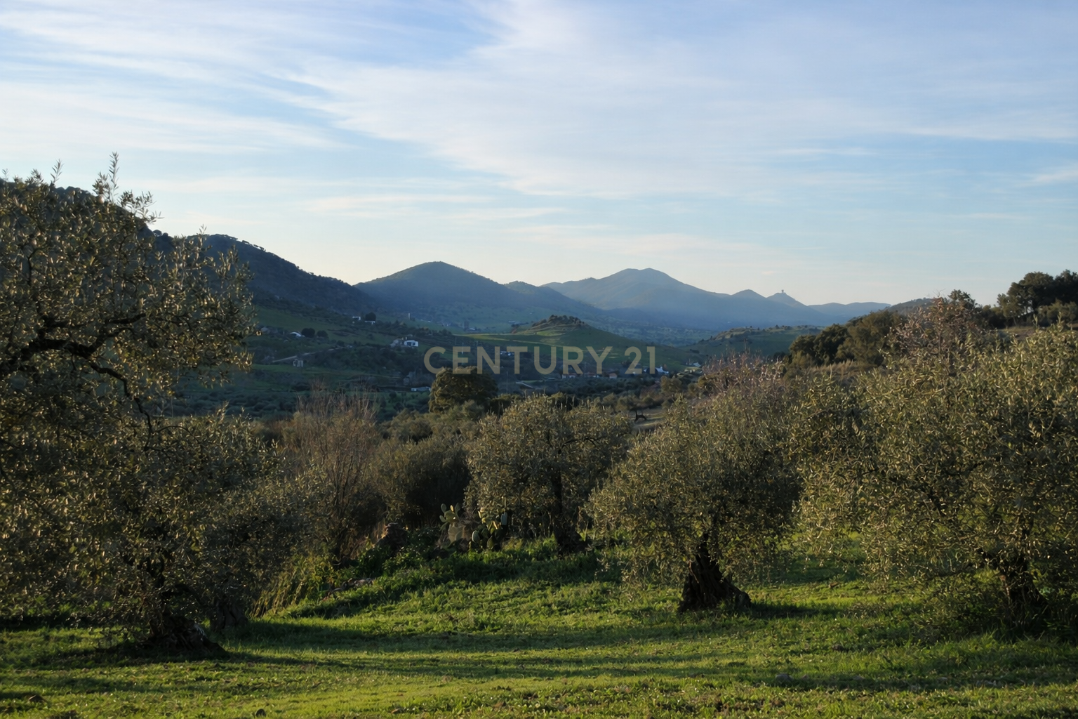 House or chalet for sale in Zafra  with Private garden, Storage room and Swimming Pool