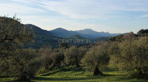 Photo 3 of House or chalet for sale in Diseminado Castelar, 54, 06300 Zafra, Badajoz, Spa, 54, Zafra, Badajoz