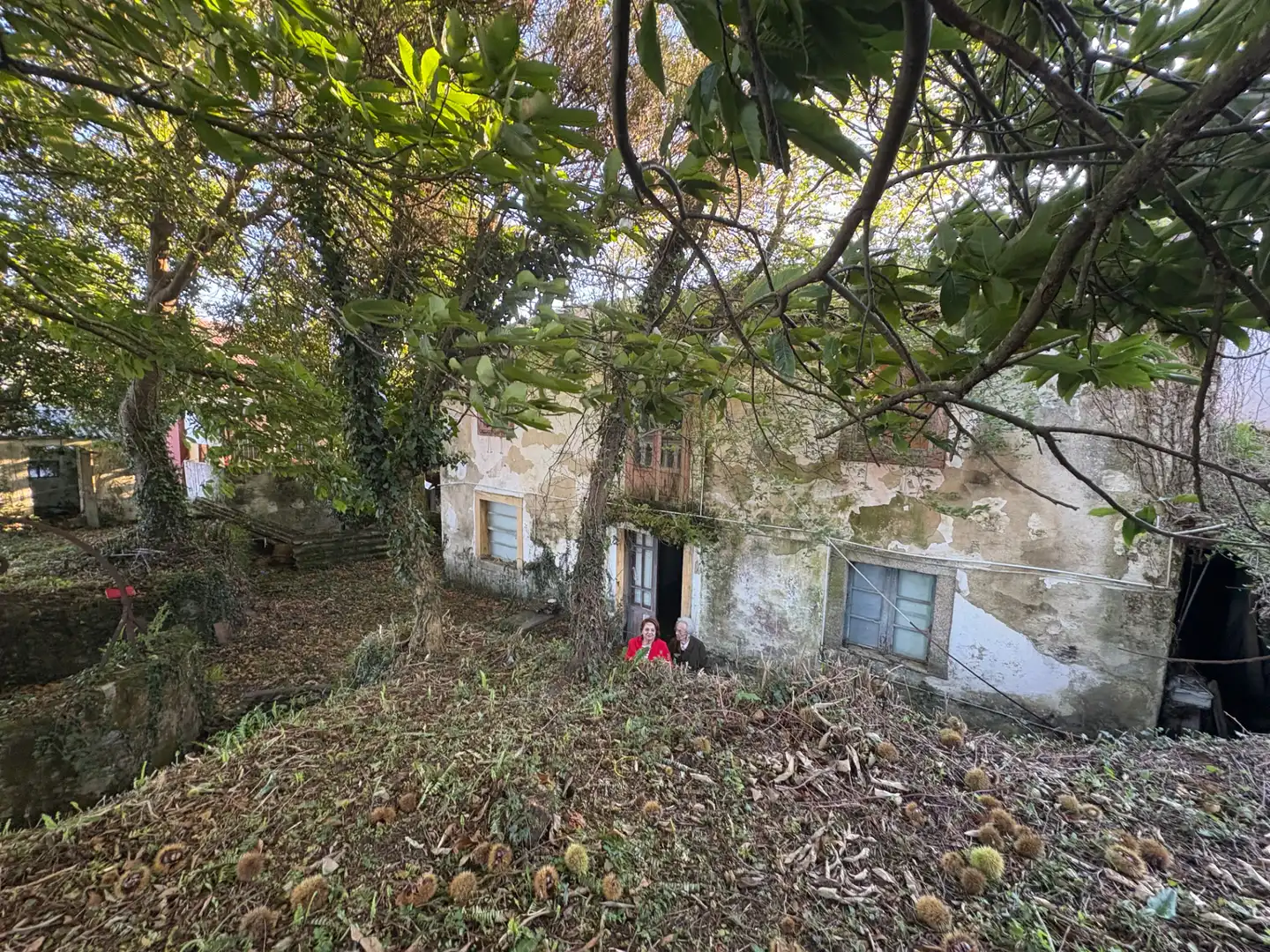 Vista exterior de Casa o chalet en venta en Neda con Jardín privado