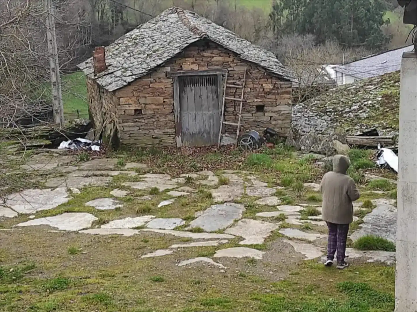 Vista exterior de Finca rústica en venda en Samos