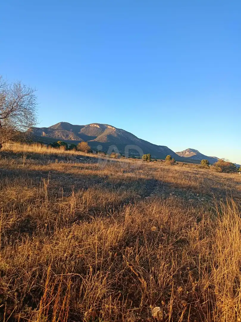 Terreno en venta en Lorca