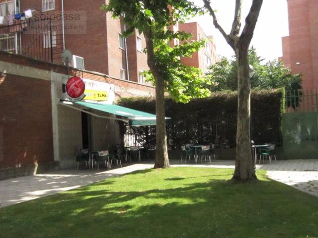 Local comercial en Alquiler en Nueva del Carmen en Pilaríca
