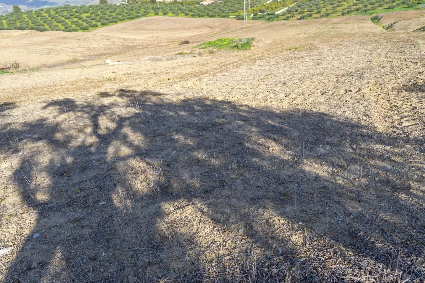 Terreni e lotti in vendita a Villafranco del Guadalhorce