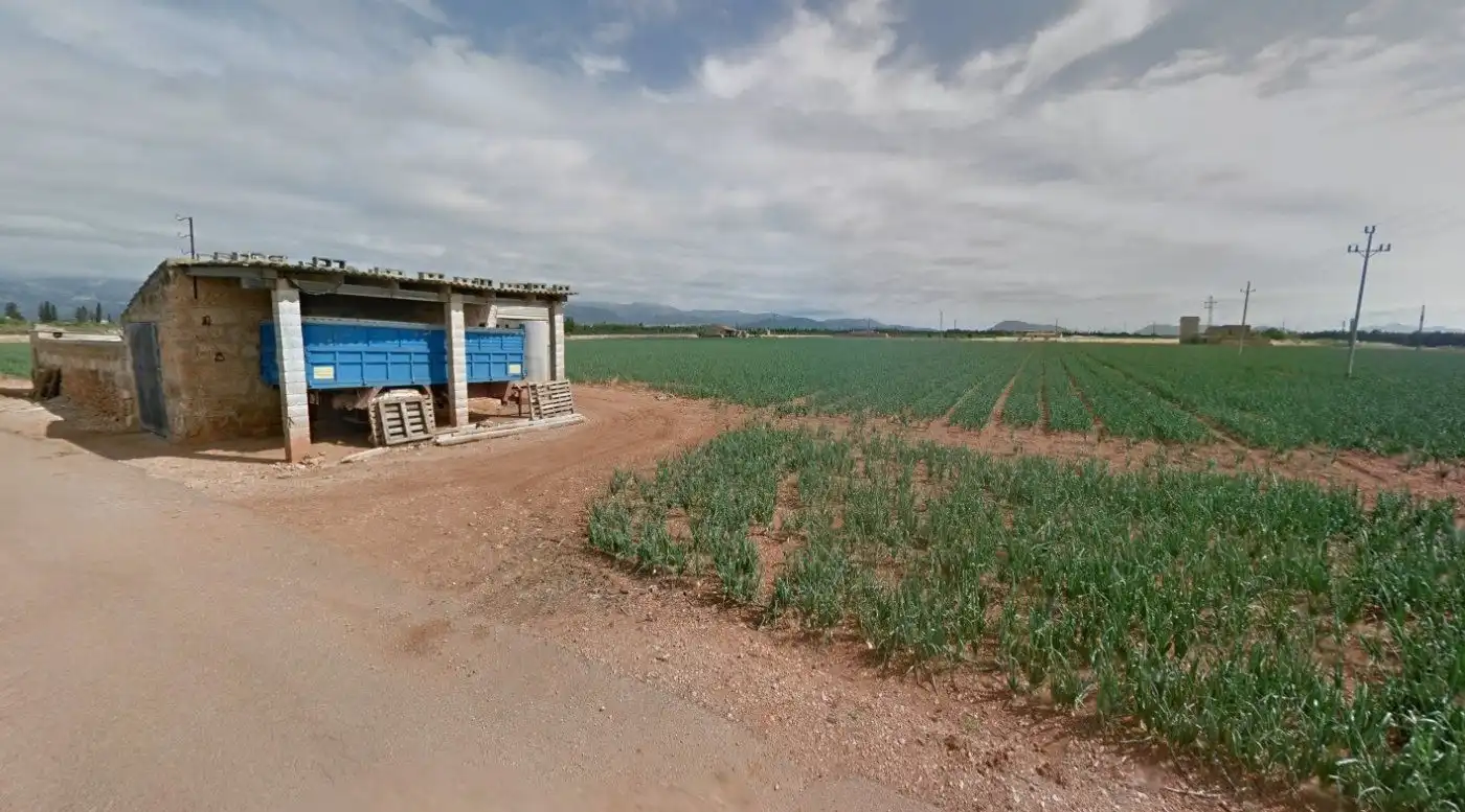 Wohnbaugrundstück zum Verkauf in Sa Pobla, imagen 2