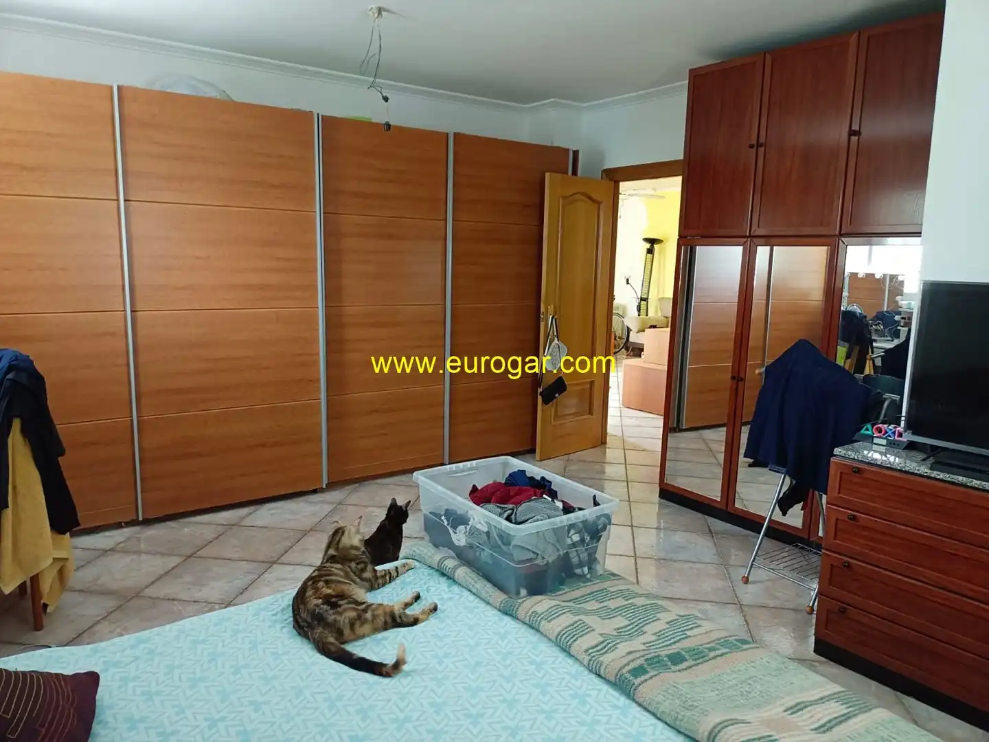 Detached house with pool for sale in Godelleta, imagen 8