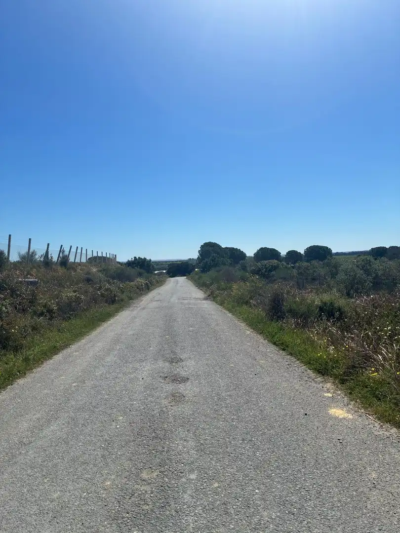 Terreno en venta en Gibraleón