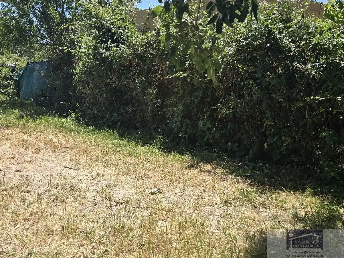 Finca rústica en venta en La Moraleja