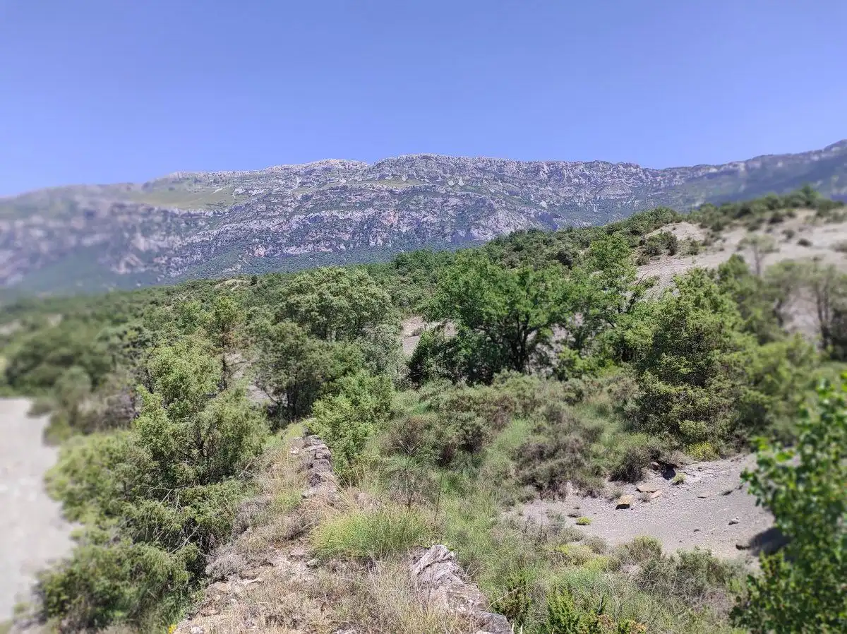 Exterior view of Country homes for sale in Foradada del Toscar