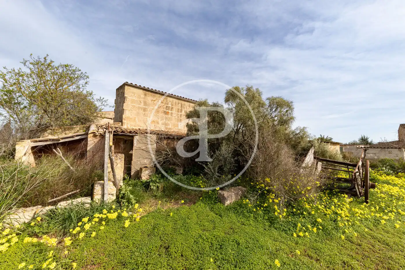 Finca rústica en venta en Campos con Jardín privado y Trastero