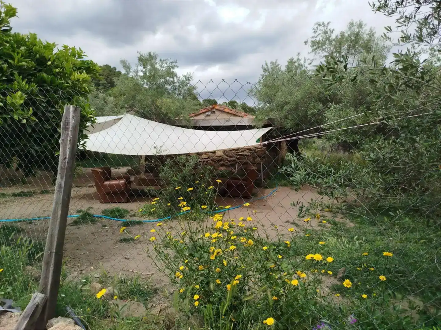 Land for sale in Torre de Don Miguel