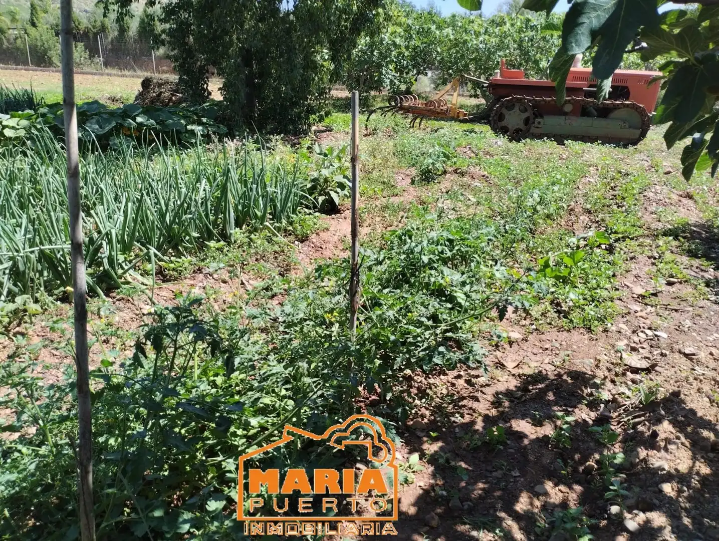 Terrenys i solars en venda a Campanillas, imagen 15