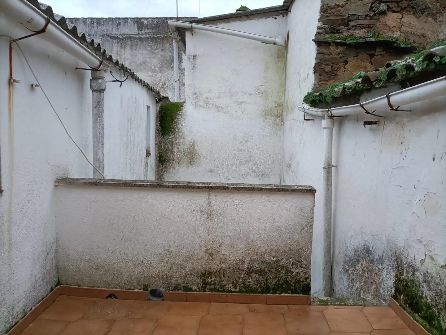 Jardín de Casa o chalet en venta en Ceclavín con Terraza