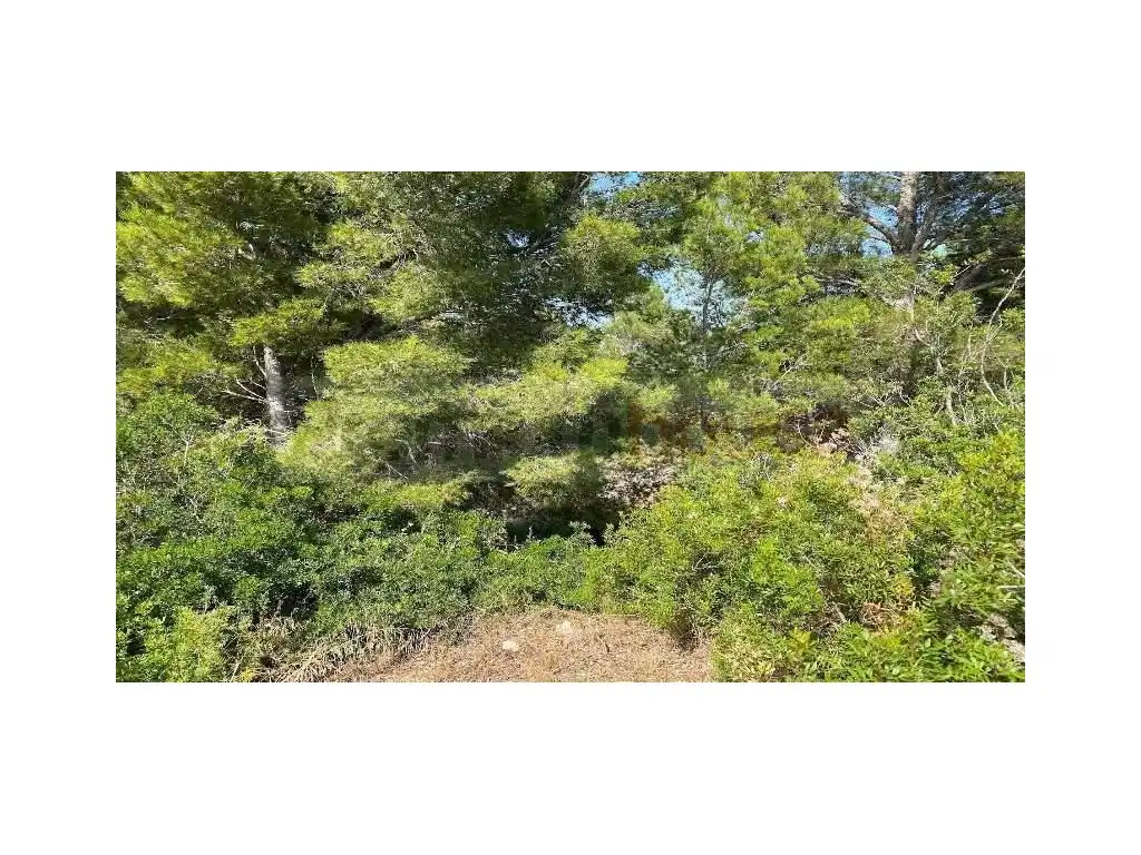 Residential land for sale in Calle de la República Argentina, imagen 9