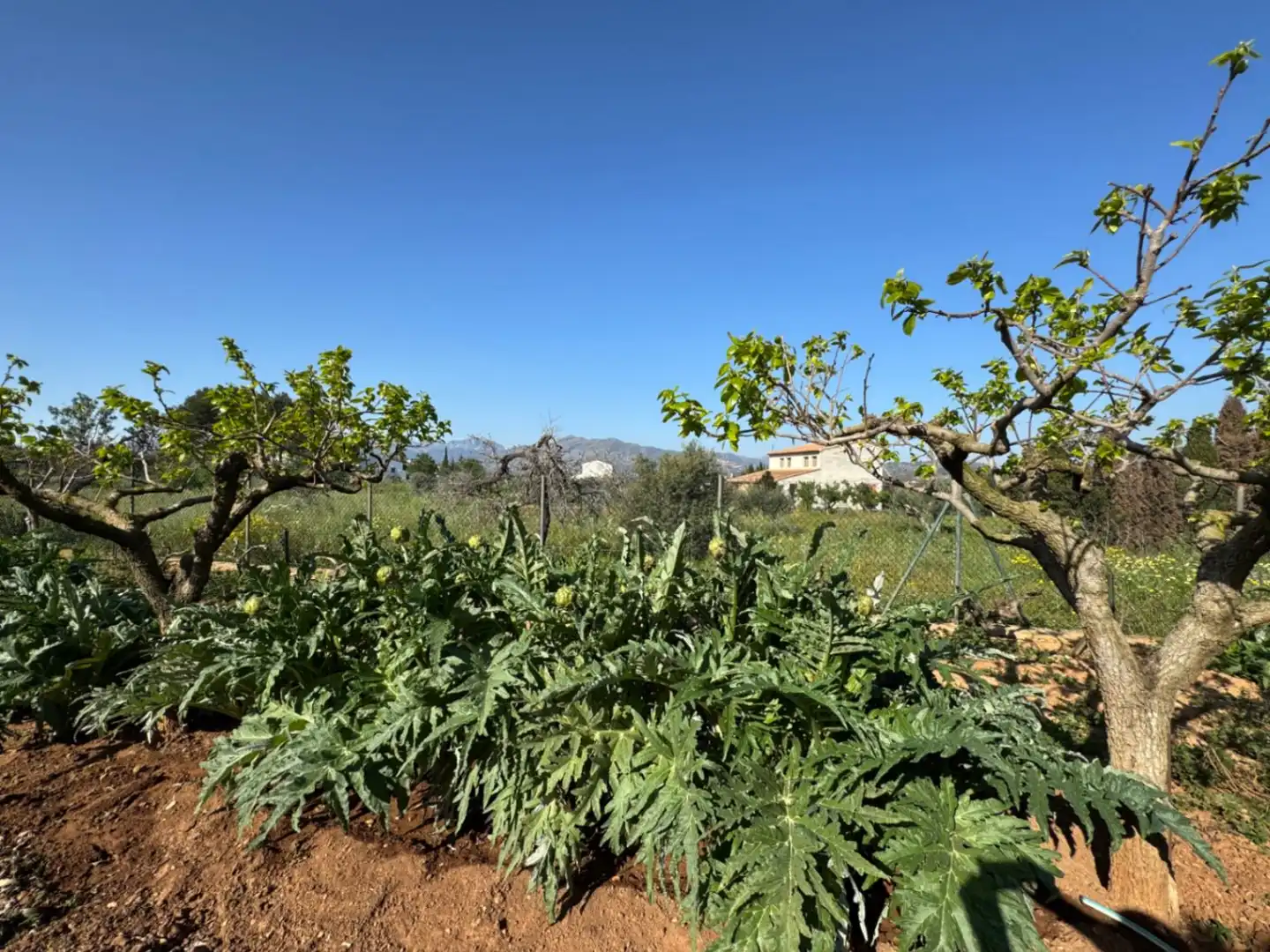 Maison rustique avec piscine à vendre à Benissa pueblo, imagen 13