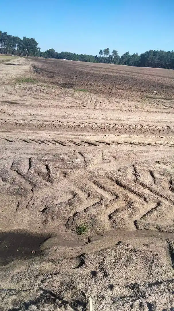 Exterior view of Land for sale in Sanchonuño