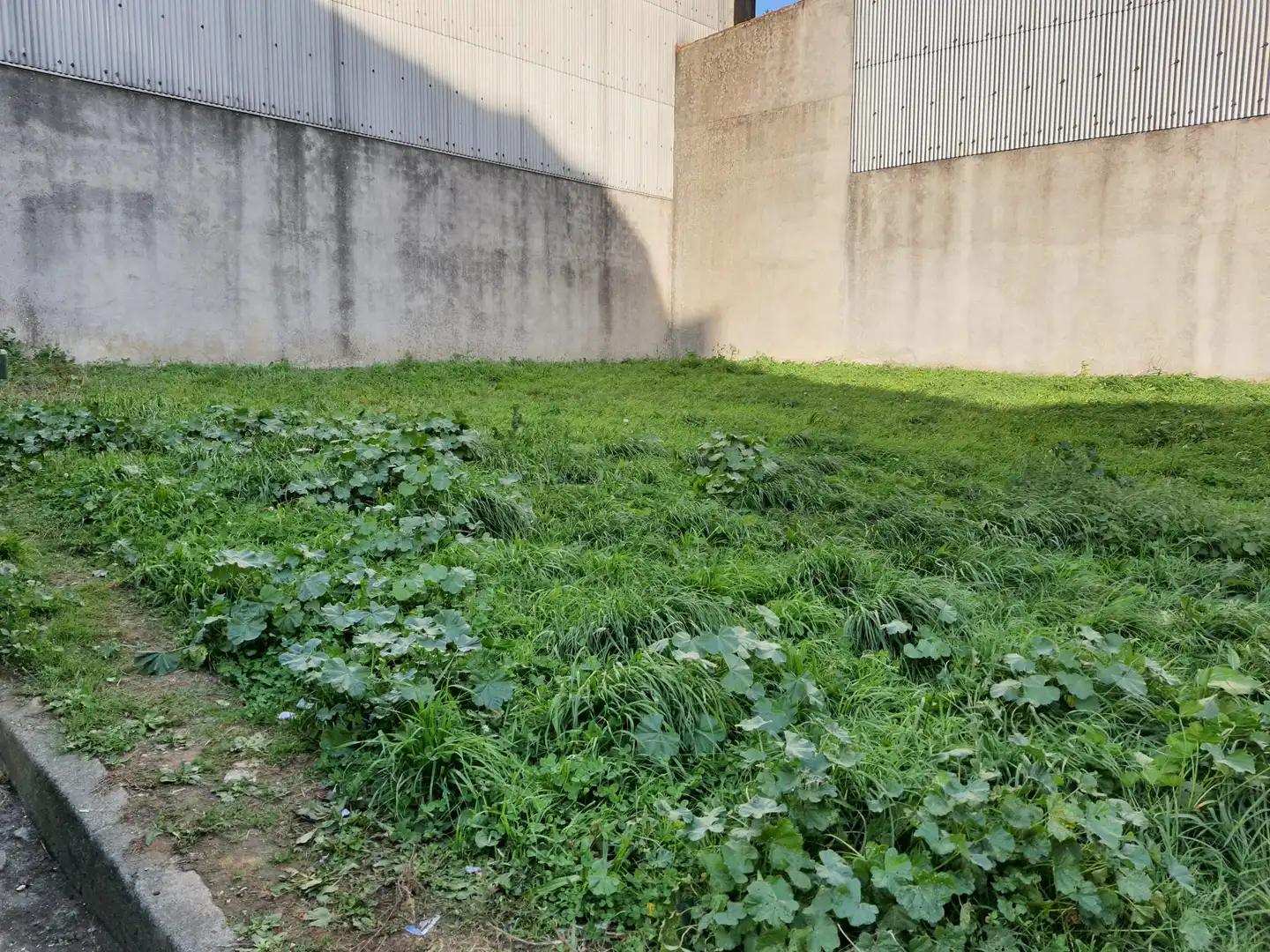 Terreno residencial en venta en Carballo, imagen 3