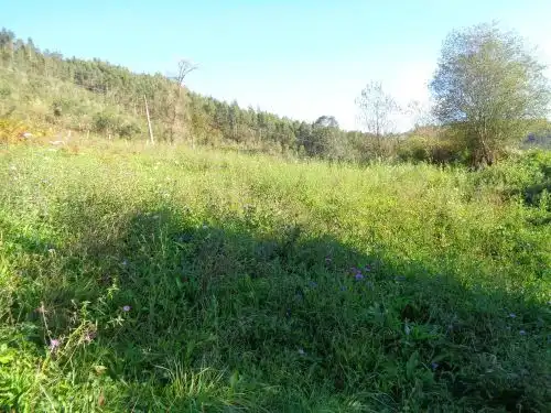 Terreno rustico in vendita a Parroquias suroccidentales, imagen 16