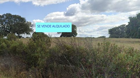 MembríoTerreno