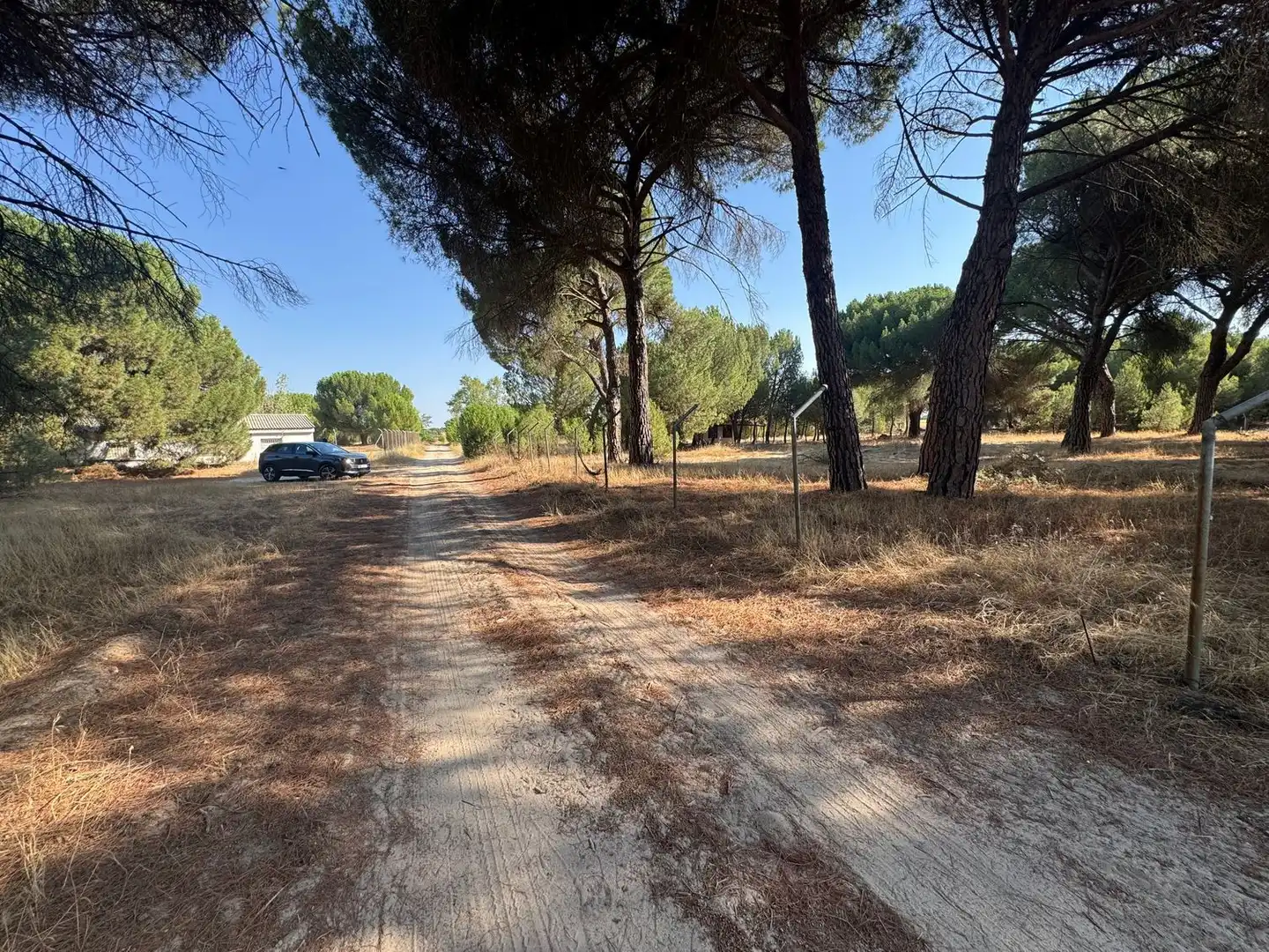 Rural land for sale in Camino del Serrano, imagen 3