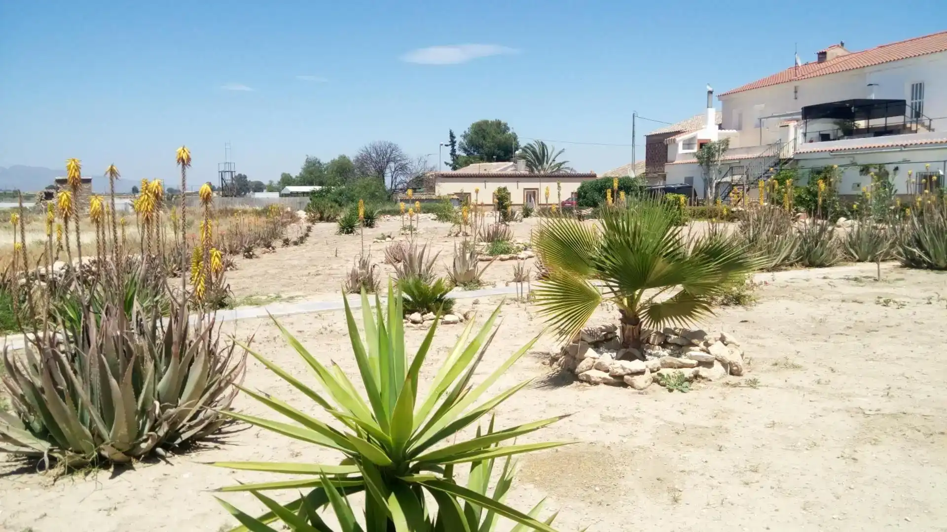 Finca rústica en venta en Lorca con Piscina y Balcón