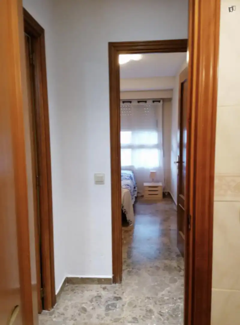 Apartments for rent in Ciutat de les Ciències i de les Arts - Justicia