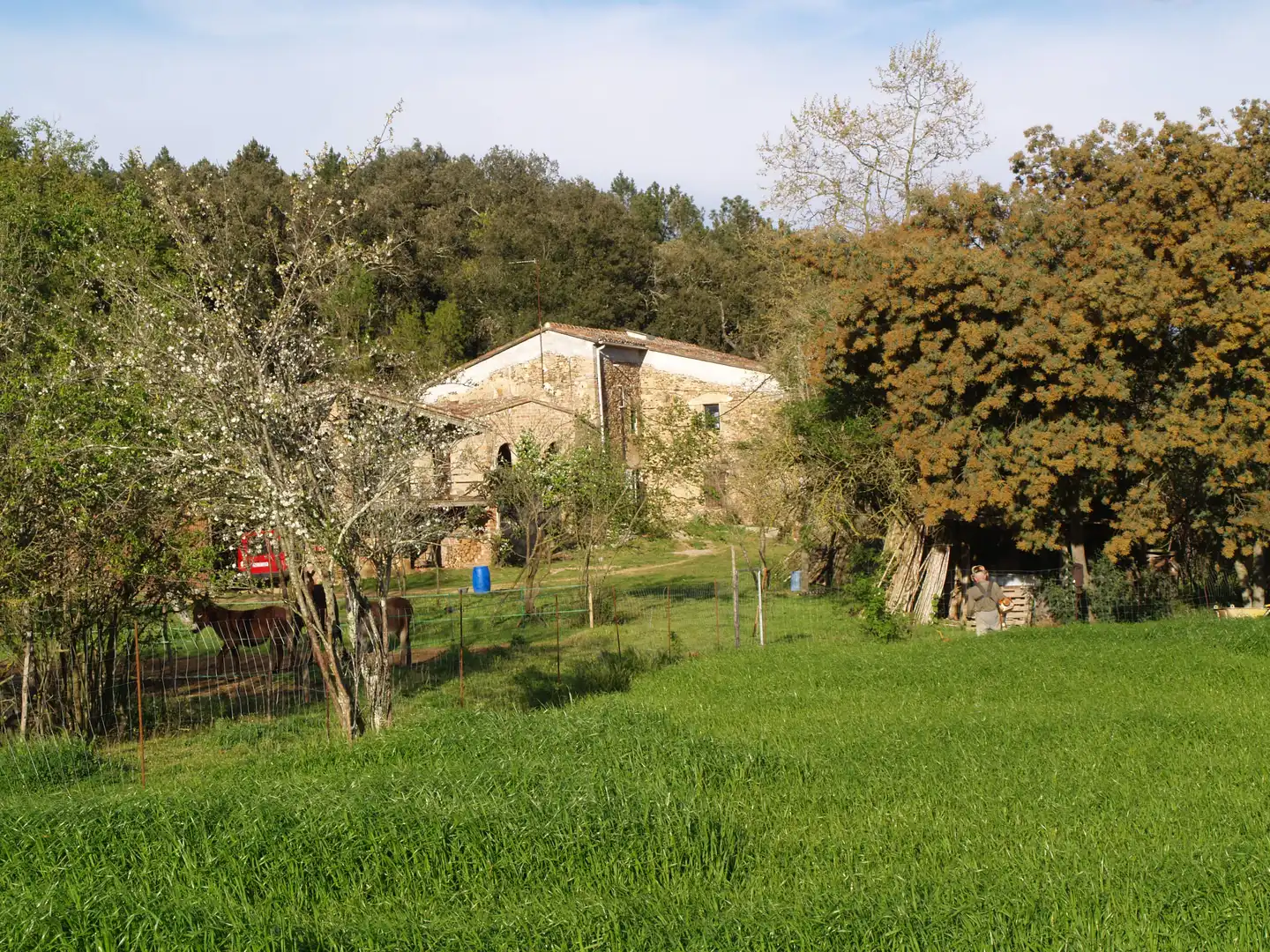 Jardín de Finca rústica en venta en Brunyola i Sant Martí Sapresa con Horno