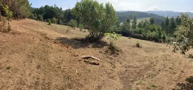 Casa o xalet en venda en Carballo amb Terrassa i Forn