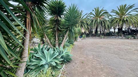 Photo 5 of Building for sale in Calle Tigaiga, Los Realejos pueblo, Santa Cruz de Tenerife