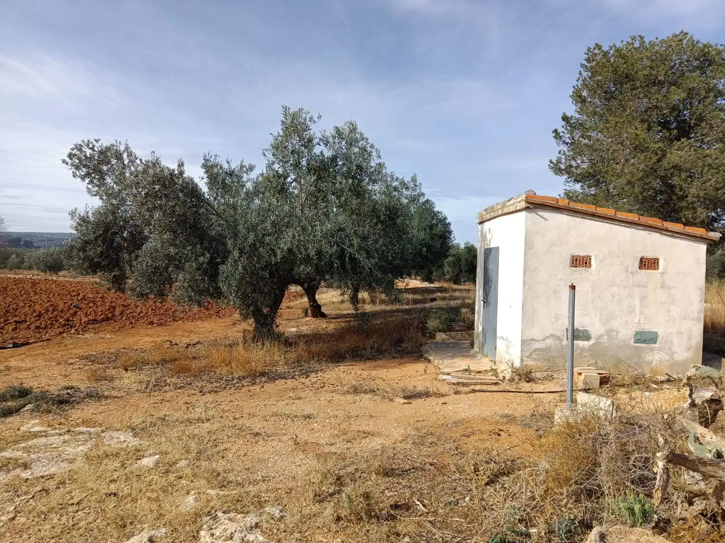 Grundstücke zum Verkauf in Enguera, Valencia