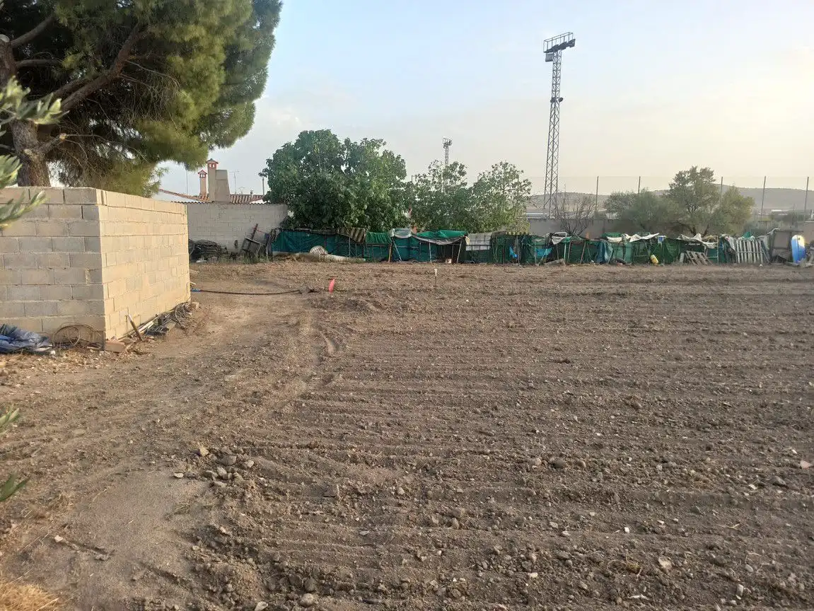 Terreni e lotti in vendita a Santa Cruz de Mudela, imagen 7
