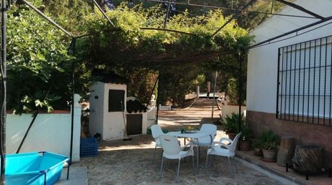 Foto 2 de Finca rústica en venta en Cieza, Murcia