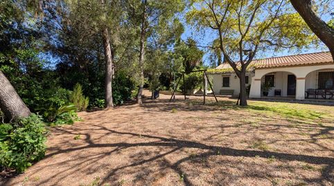 Photo 2 of Houses for rent in Sanlúcar la Mayor, Sevilla