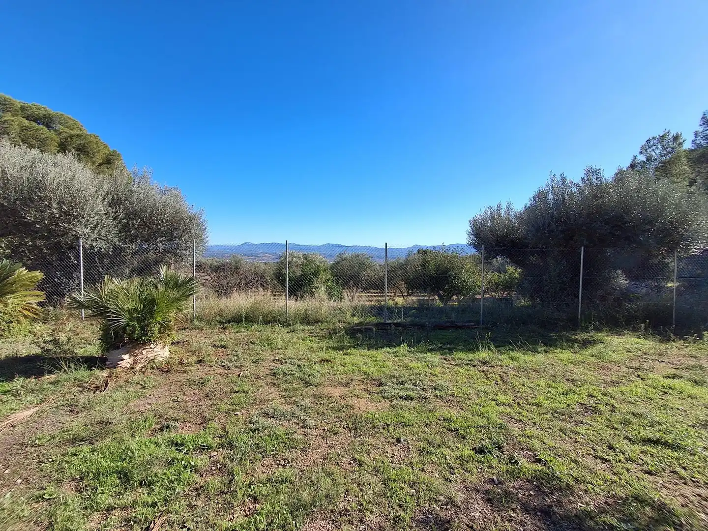 Finca rústica en venda en Móra d'Ebre