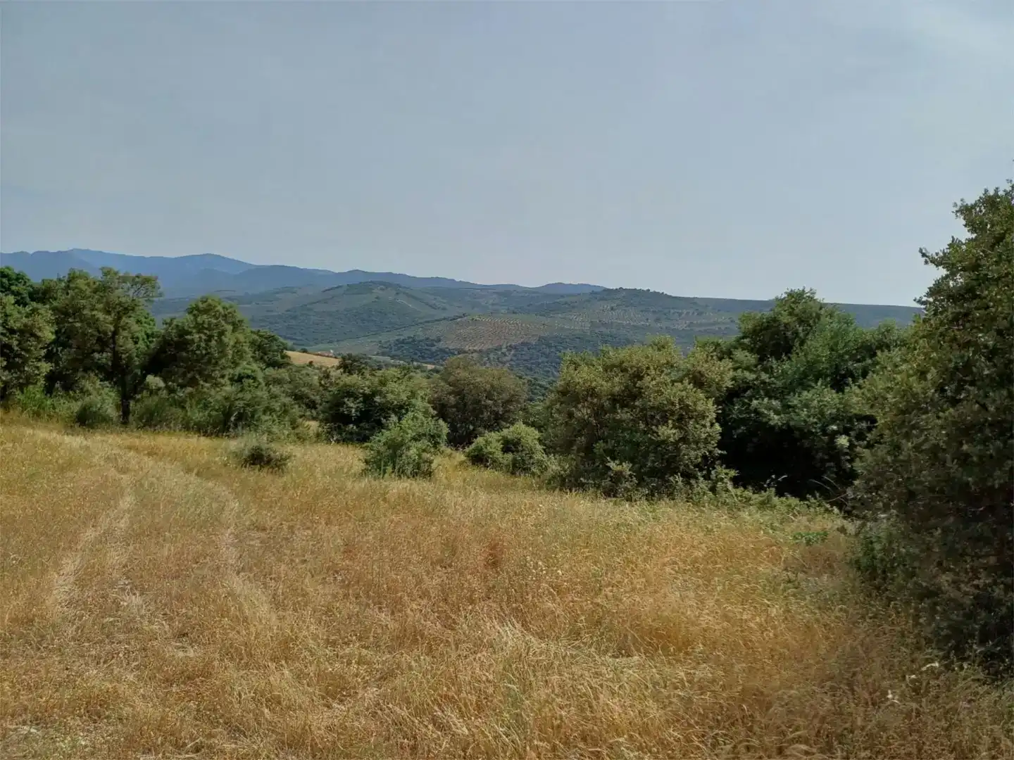 Grundstücke zum Verkauf in Castañar de Ibor