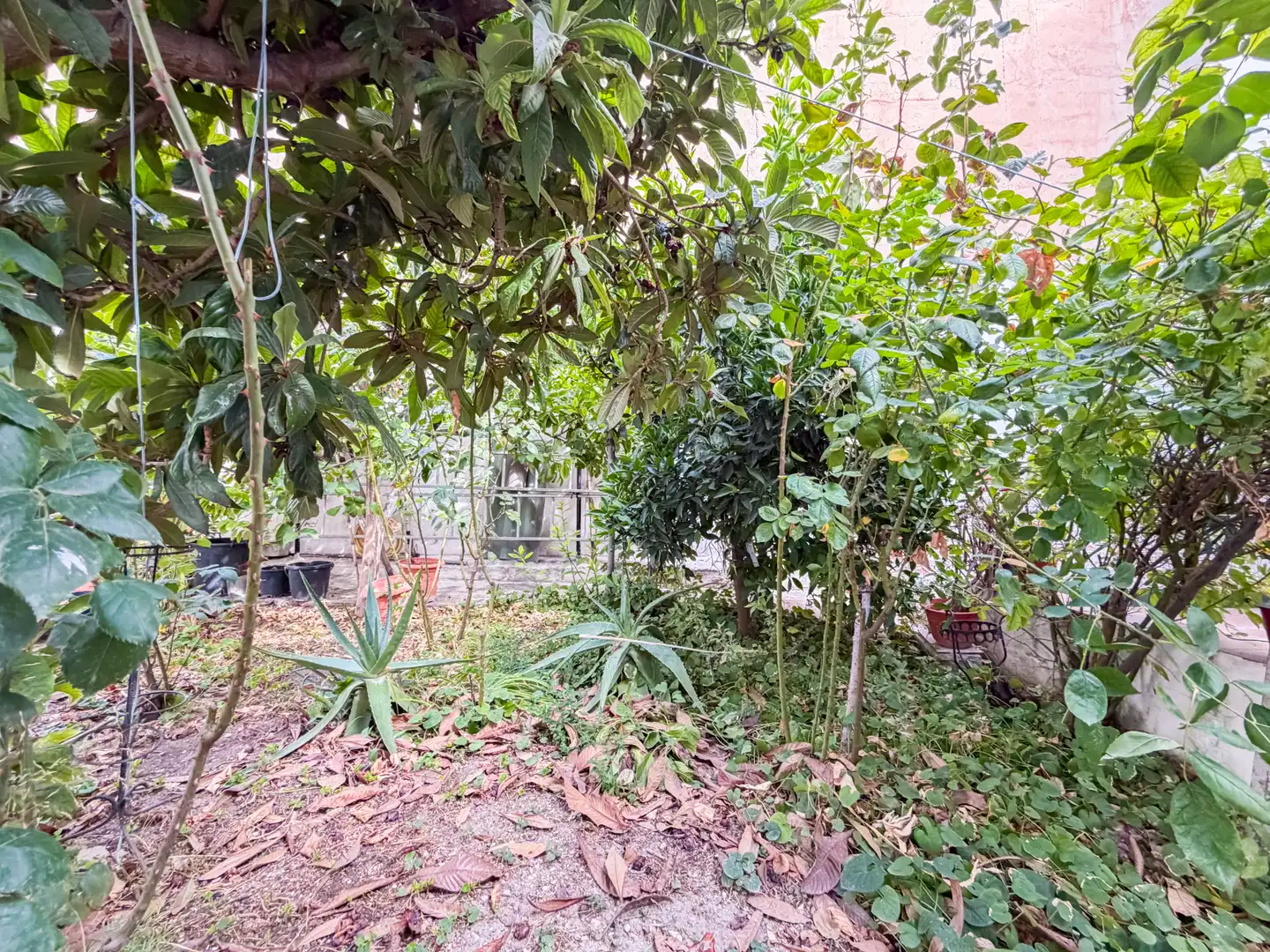 Garten von Einfamilien-Reihenhaus zum Verkauf in Baza mit Privatgarten, Parkett und Abstellraum