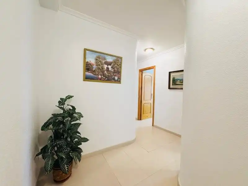 Pis en venda en Torrevieja amb Terrassa i Balcó