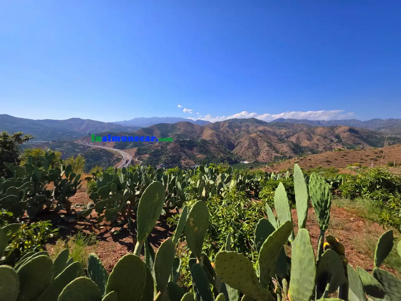 Terrenos y solares en venta en N/A, imagen 18