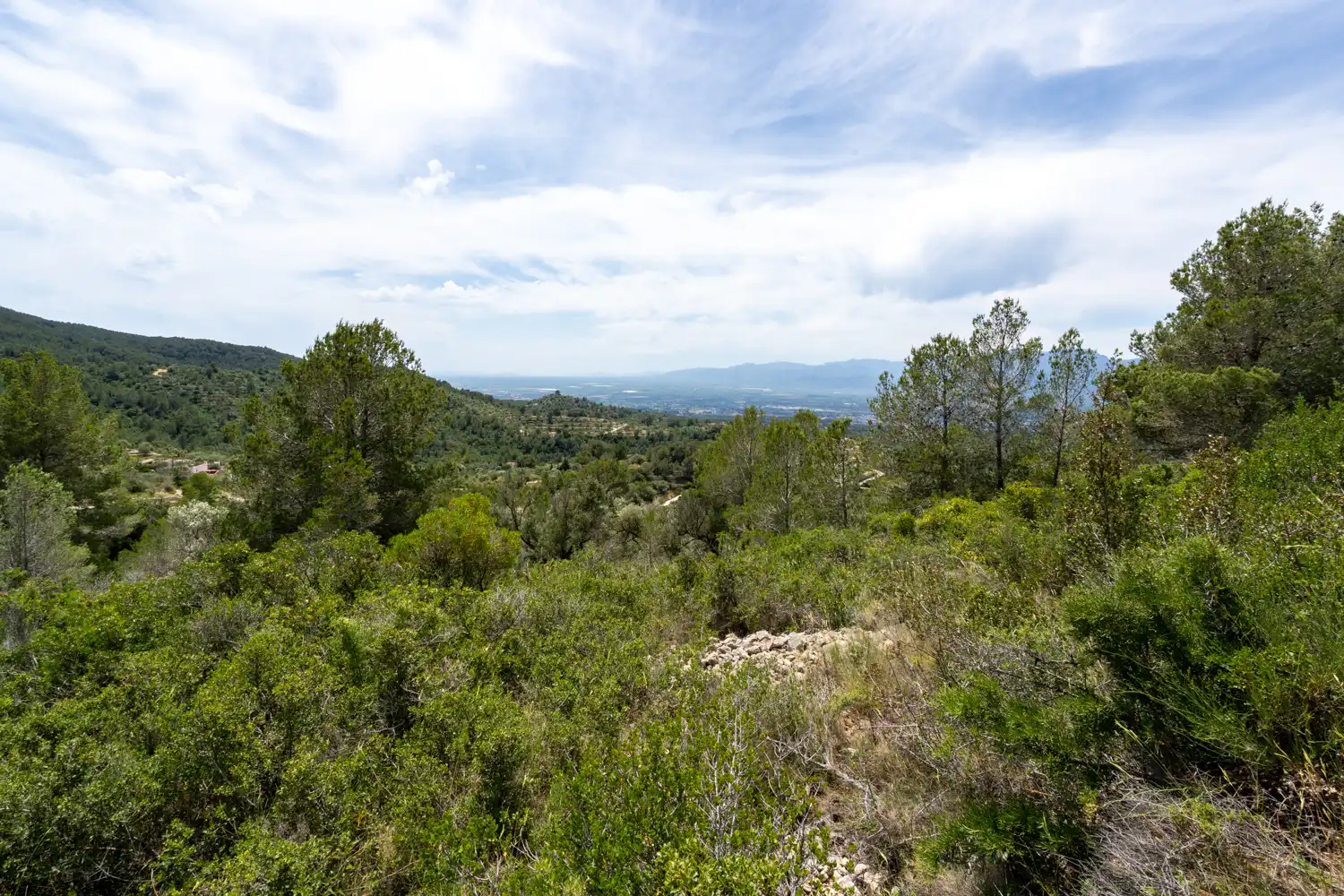 Terrain rustique à vendre à Camí dels Corrals de la Riba 9, imagen 11